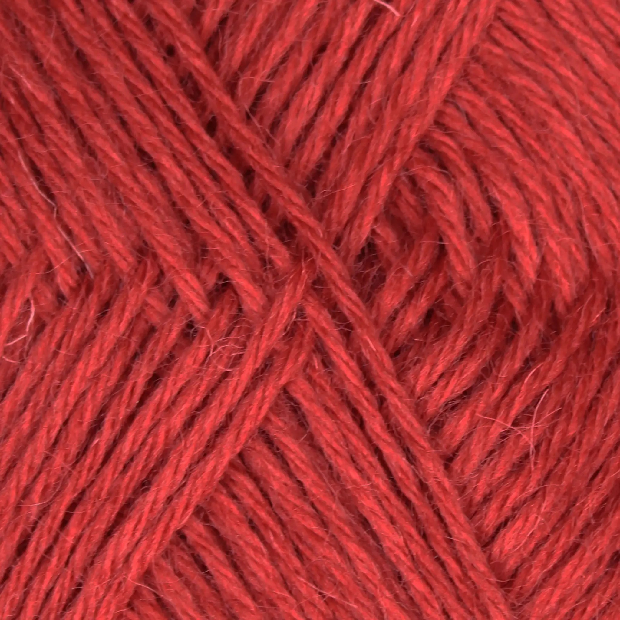 Warth Mill 100% British Wool DK Yarn Value Pack of 5