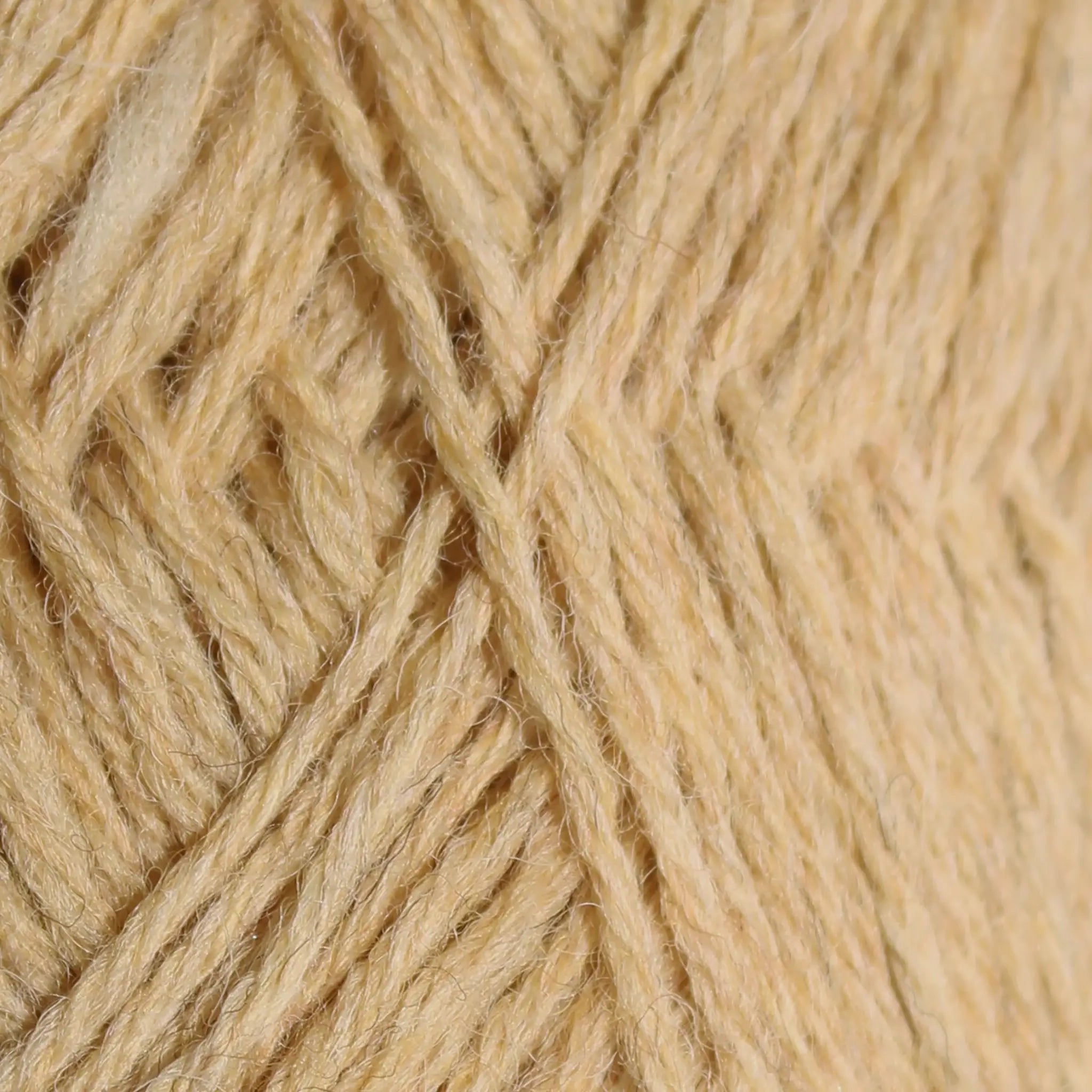 Warth Mill 100% British Wool DK Yarn Value Pack of 5